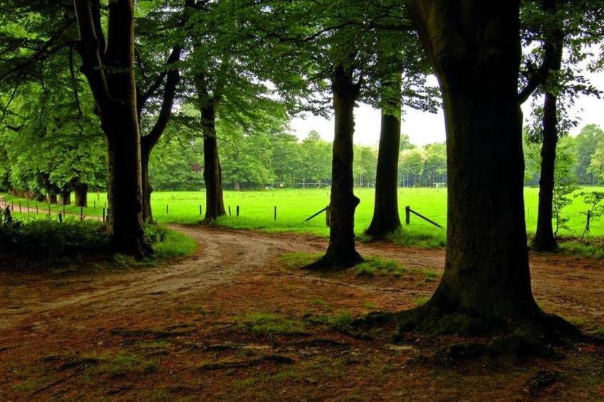 Vakantiepark De Lochemse Berg 2 - foto 32