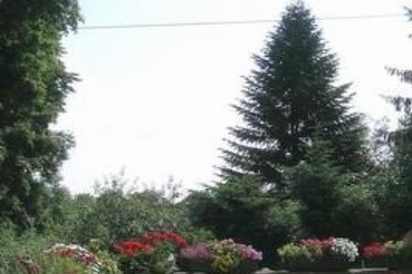 Goldbergvilla 7-9 P. - foto 12