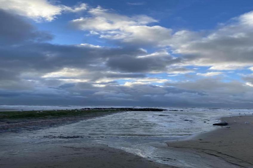 BRUYERES / 1 - foto 33