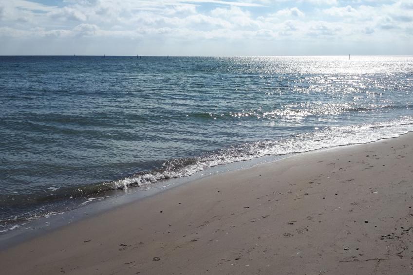 mit Grill und Garten in Neukirchen - foto 20