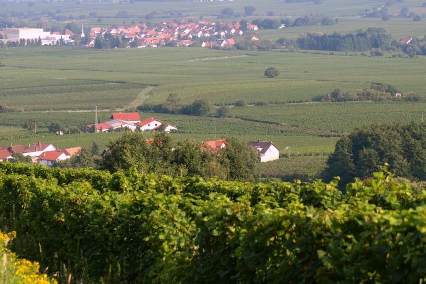 19016 - foto 3