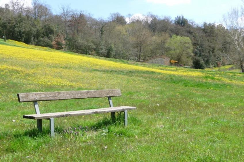 Appartamento Dante - foto 39