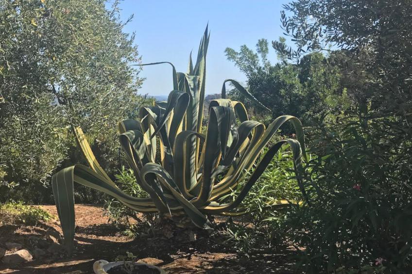 Villa della Fonte - foto 29