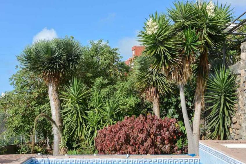 Renovierte Finca Paradies mit privatem Pool - foto 11