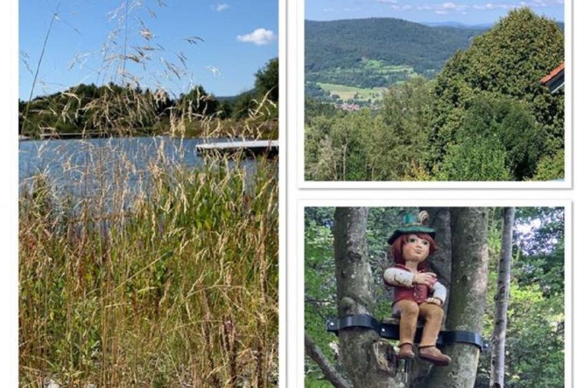 Appartement in Langfurth mit Kleinem Balkon - foto 21