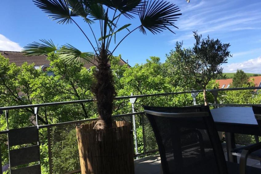 Stadtferienwohnung - foto 2