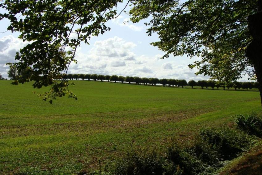 Hohe Düne - foto 36