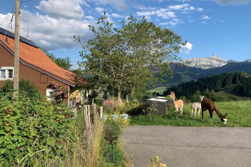 Tiererlebnishof Windegg