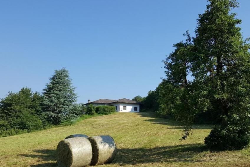 Dolomiten Weiße Rast - foto 3