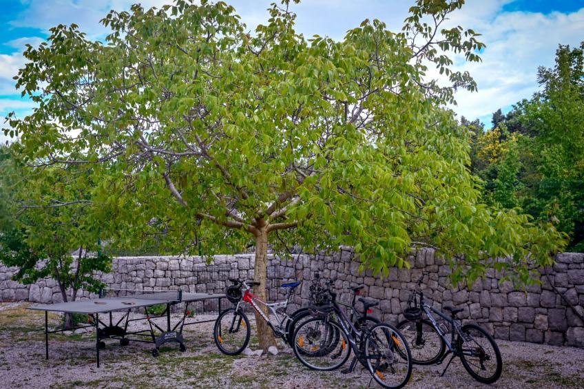 Freistehendes Ferienhaus in Duge Njive mit Privatem Pool - foto 41