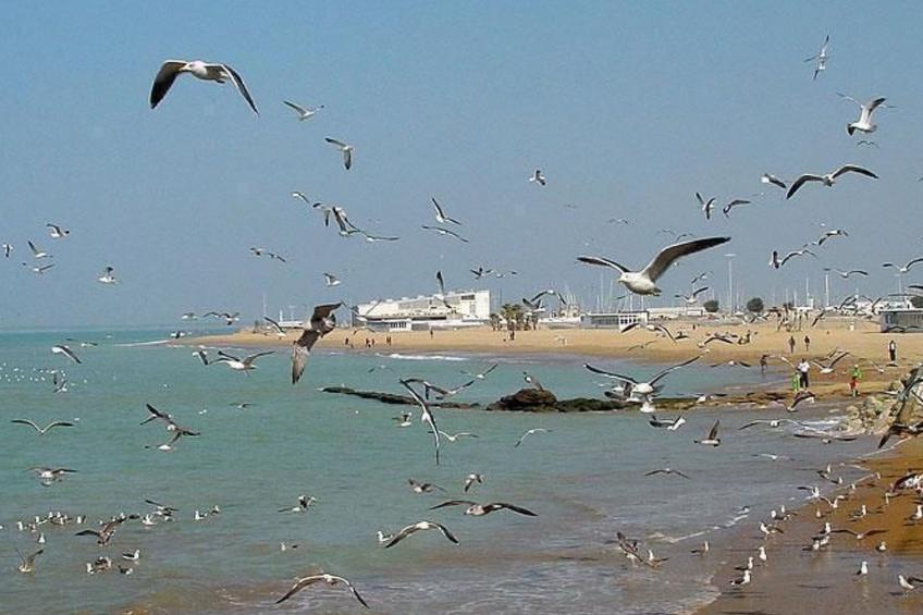 Touristenwohnung "Apartment" mit Terrasse - foto 42