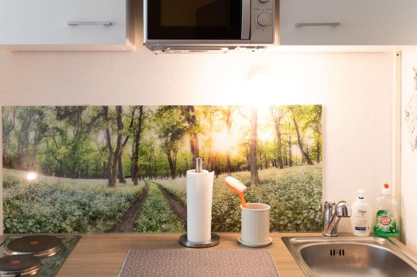 Studio Esche 2 - foto 12