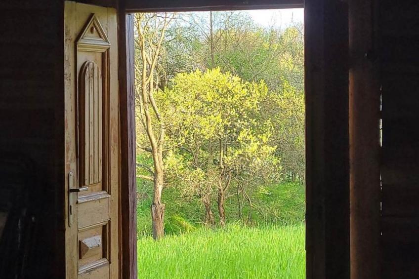 mit Wasserblick - foto 19