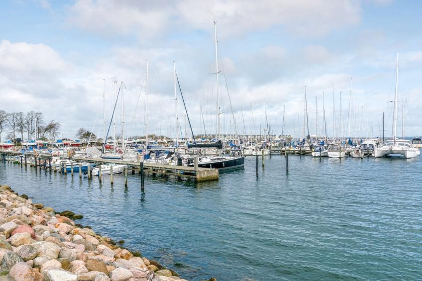 "Gaby" - 250m from the sea in Funen - foto 25