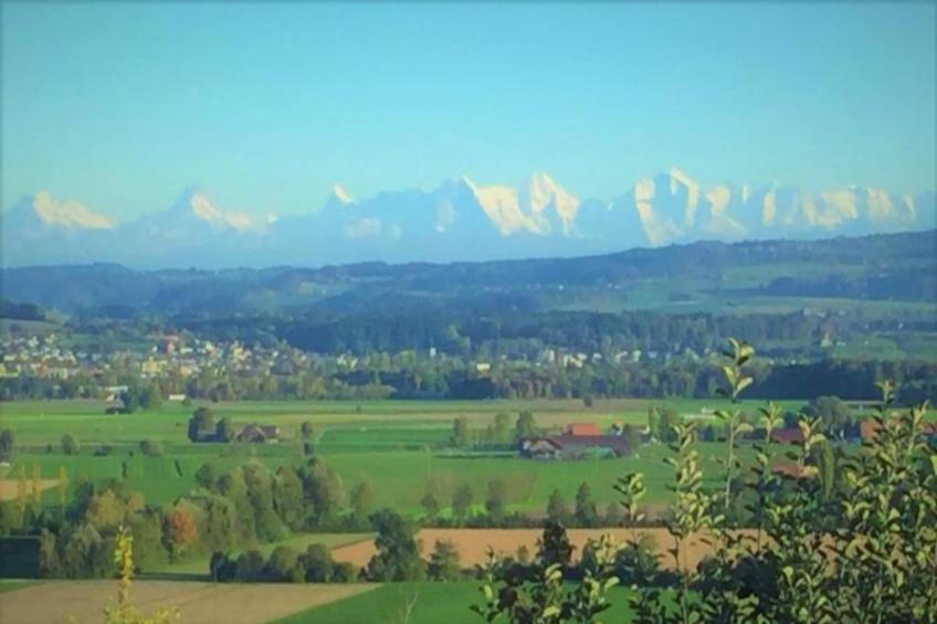 Ferienhaus Kronenburger See - foto 30