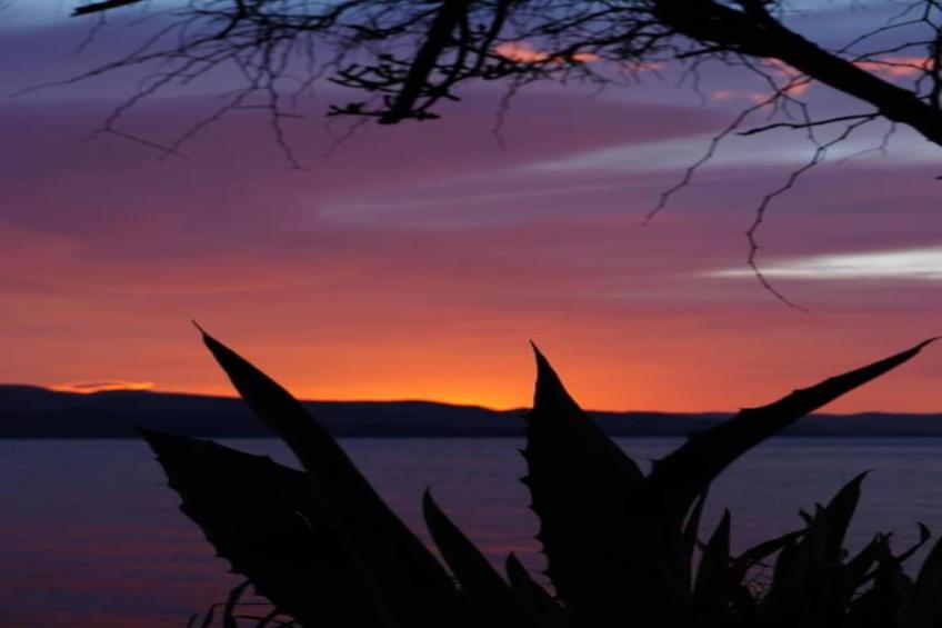 Studio Apartments Darija - A2 - foto 23