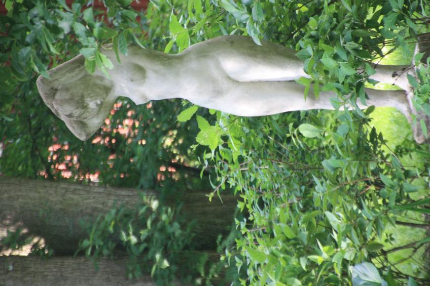 Wohlfühloase für Natur- und Gartenliebhaber - foto 29