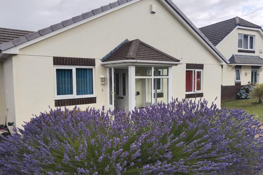 Lavender Waye - foto 15
