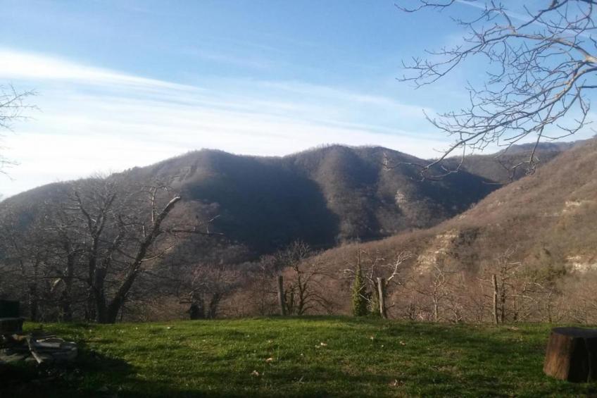 Canaiolo - foto 36