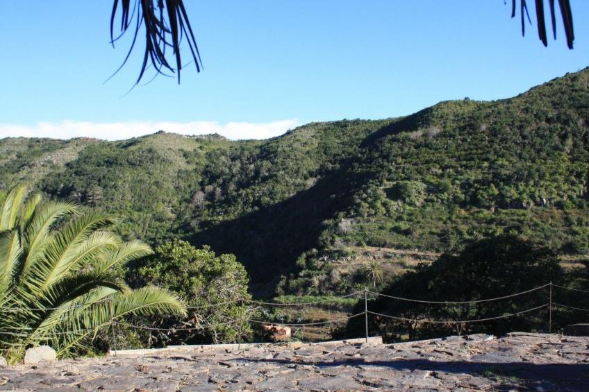 Freistehendes Ferienhaus La Maleza in La Palmita - foto 34