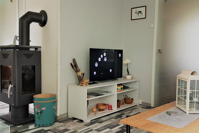 Haus-Lappland - foto 6