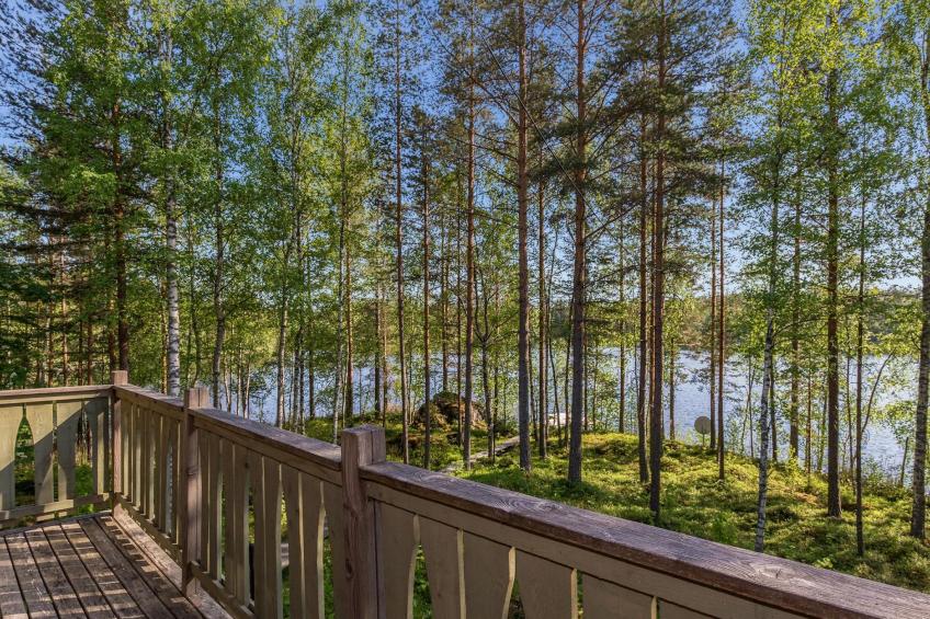 Koivuniemen rouva - foto 26