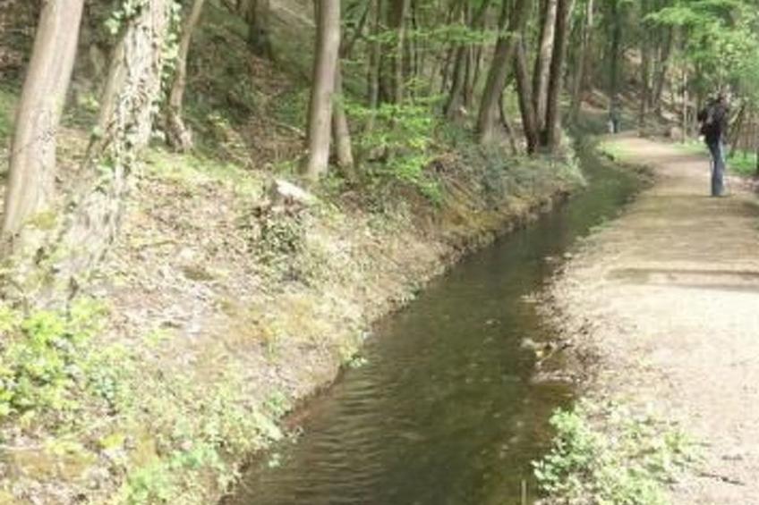 Am Waldrand - foto 44