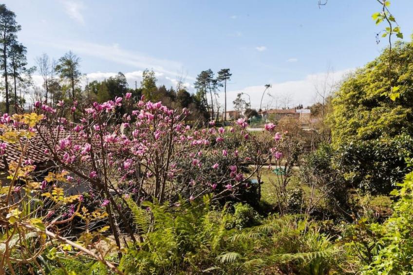 Maison du Moulin in Bauernhof - foto 40