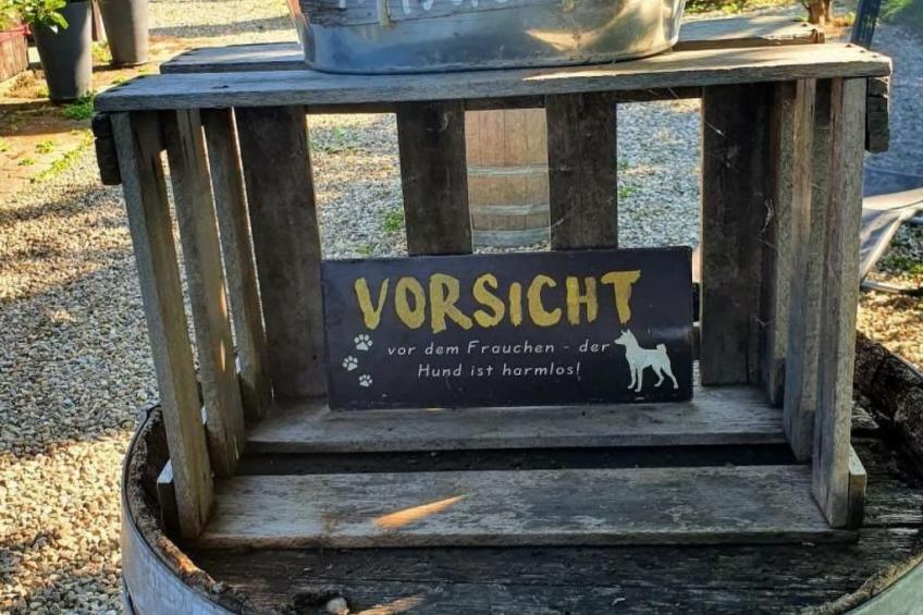 Max Mountain View - foto 6