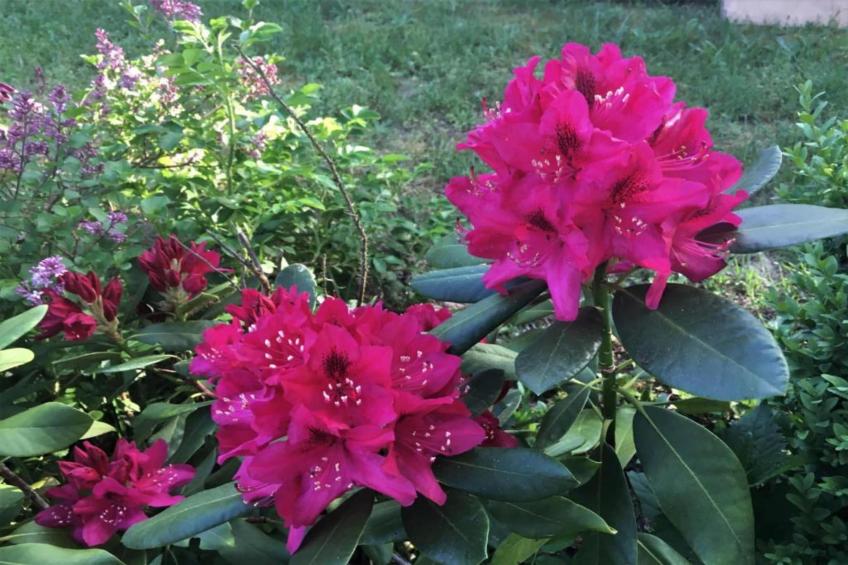 Hausboot in Zehdenick - foto 23