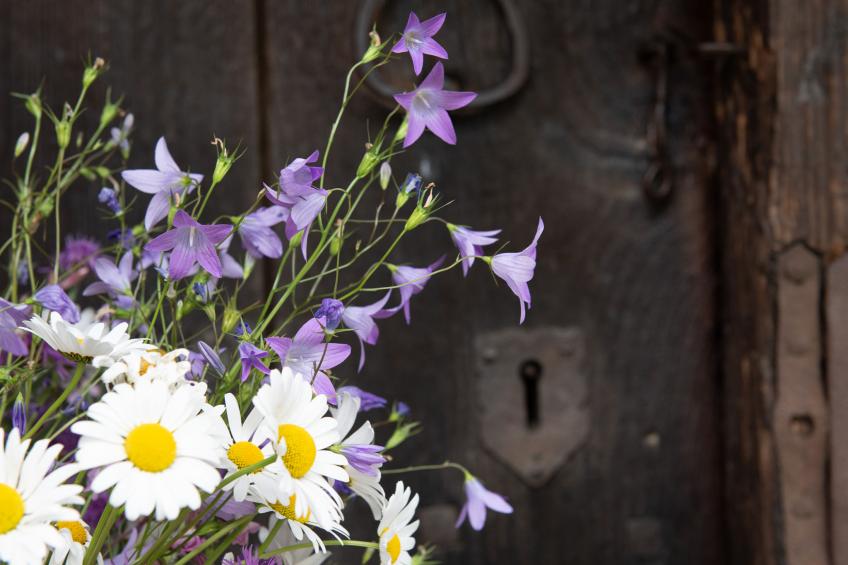 Troadkasten - foto 16