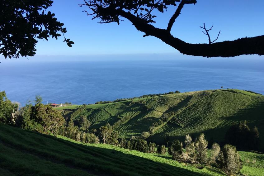 Casabelavista III - foto 17