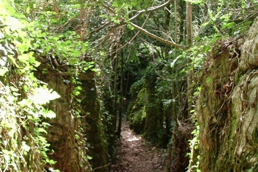 Hochwertiges Haus mit Terrassenblick auf die Berge - foto 31