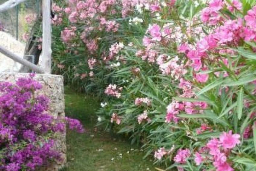 Einzimmerwohnung mit Panoramablick im Erdgeschoss - foto 8