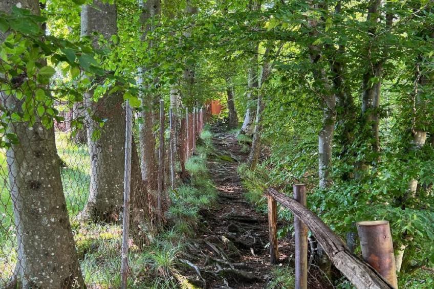 Rustico Eremo Rico - foto 8