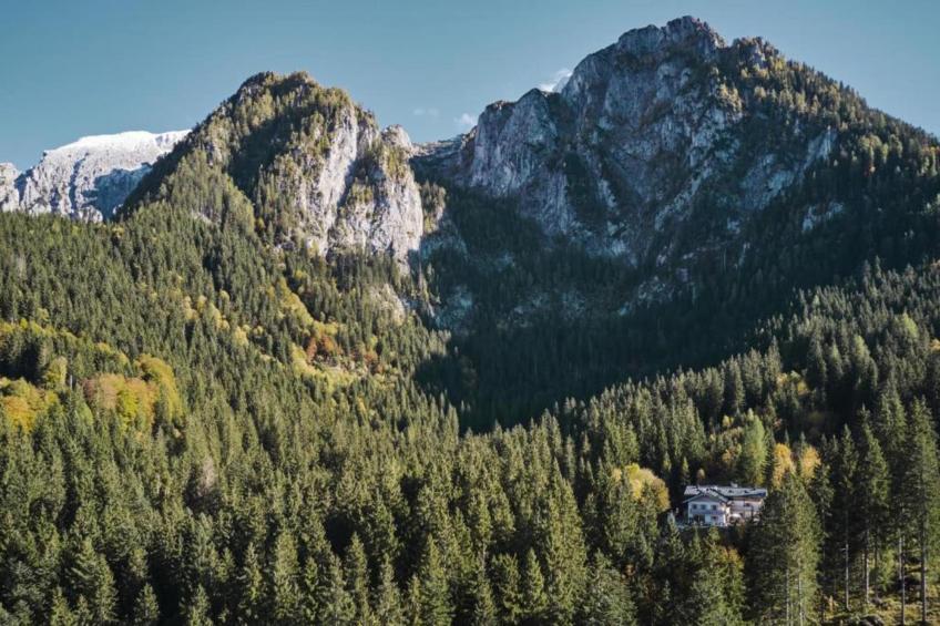 Schönau am Königssee - foto 36