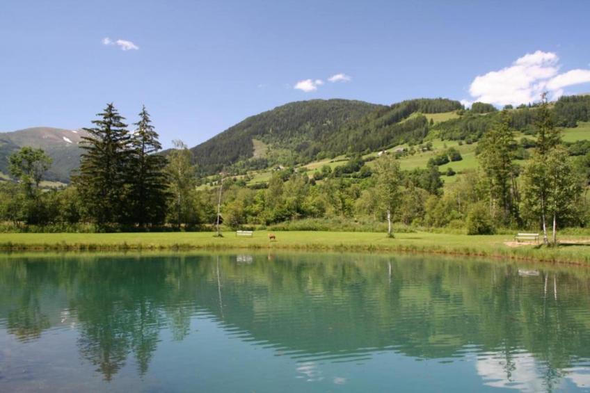 The Austrian Chalet - foto 34