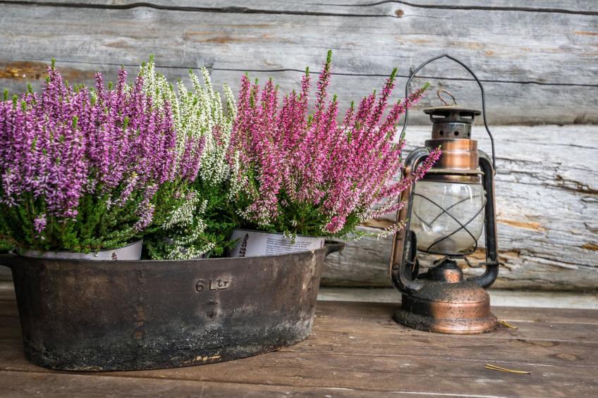 Mäntyranta lodge - foto 25