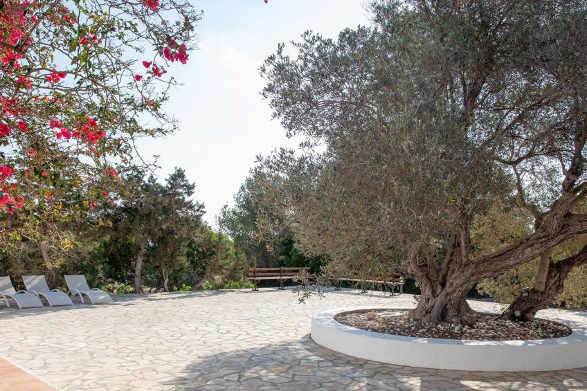 Casa Tramontana 4 pax.  Migjorn Gebiet - foto 37