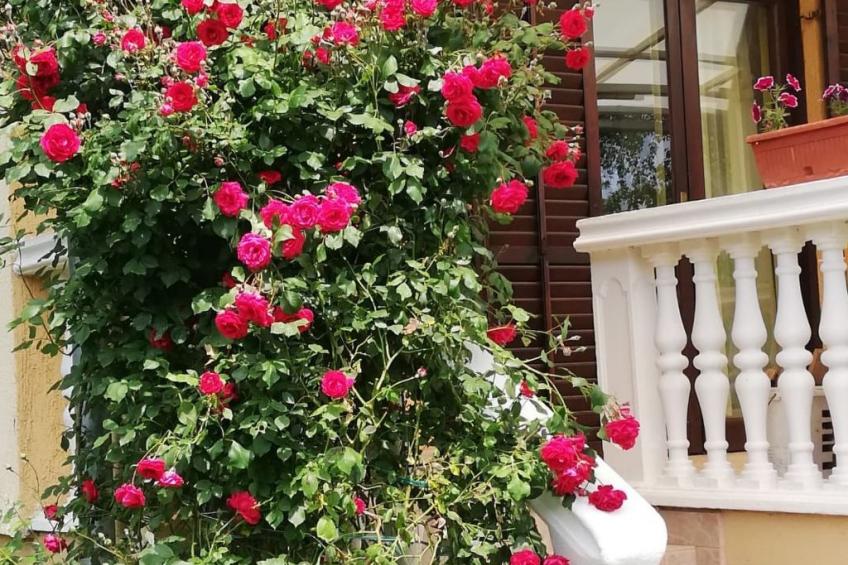 Hütte mit Garten, Grill und Terrasse - foto 52