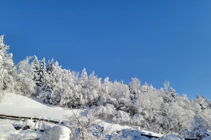 Appartementhaus Tauernfenster, Neukirchen - Typ B - foto 23