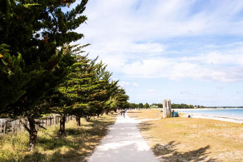 Appartements à Île Tudy - foto 15