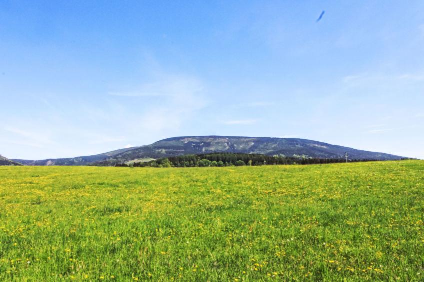 Černý Důl - foto 39