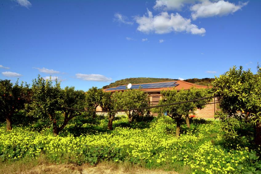 Casale tra gli Agrumi - foto 38