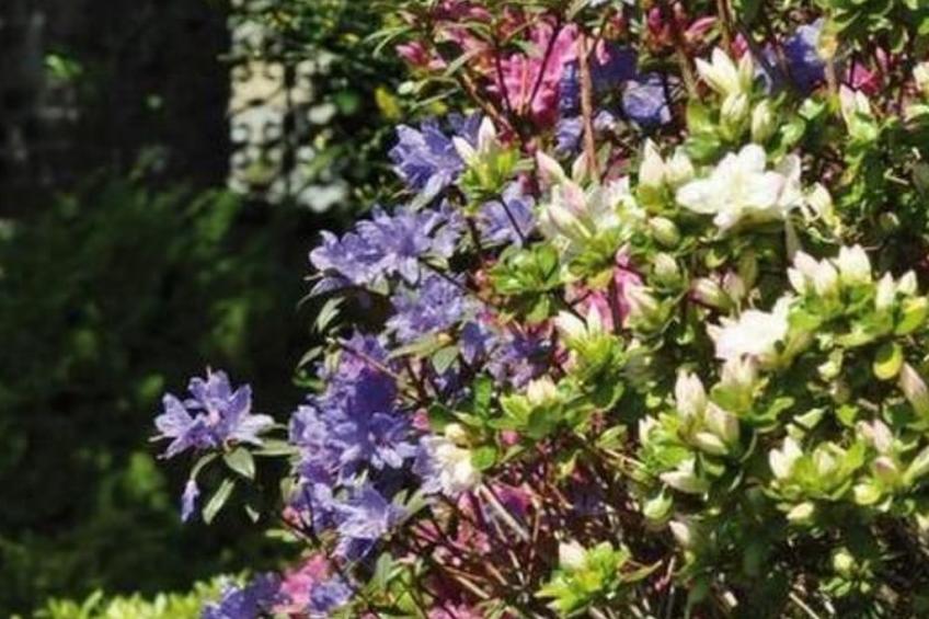 Villa Cresta Bianca - foto 10