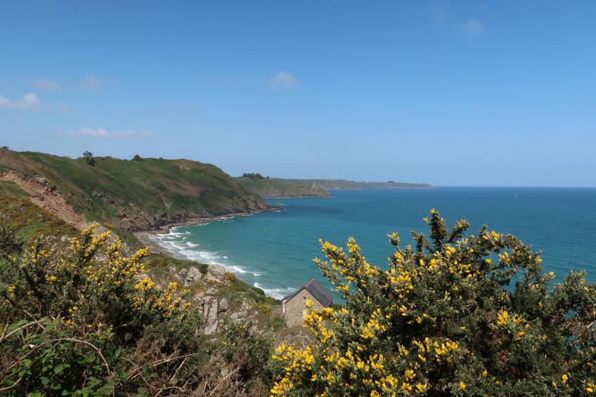 Komforthaus mit Traumgarten und Meerblick - foto 56