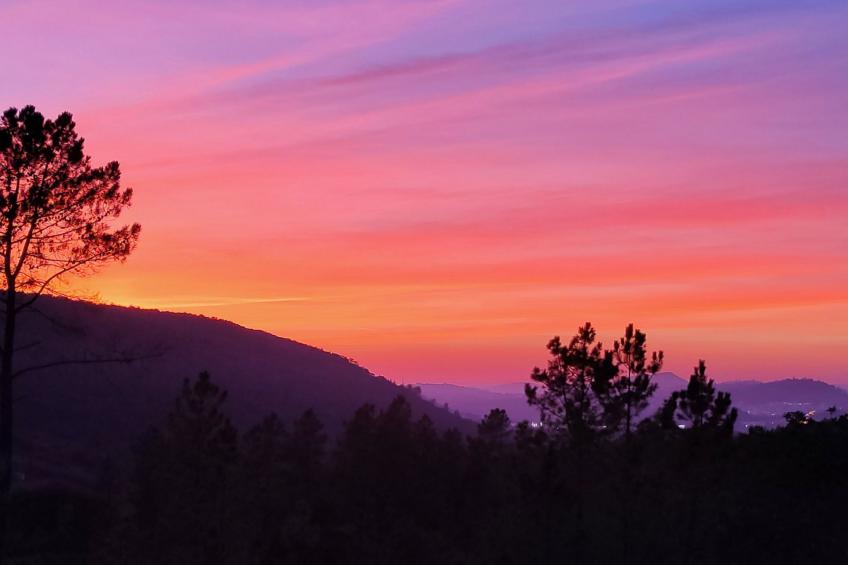 Casa da Cidreira - Villa für 4 Personen (+2) + private Suite - foto 21