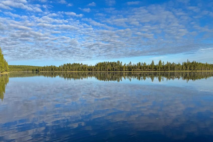Kivalikkolampi - foto 4