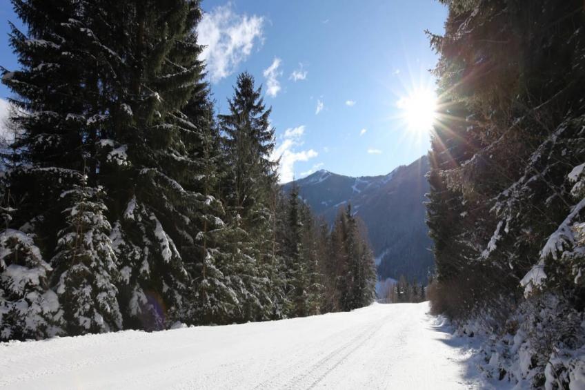 Chalet Ski In - Top 2 - foto 7