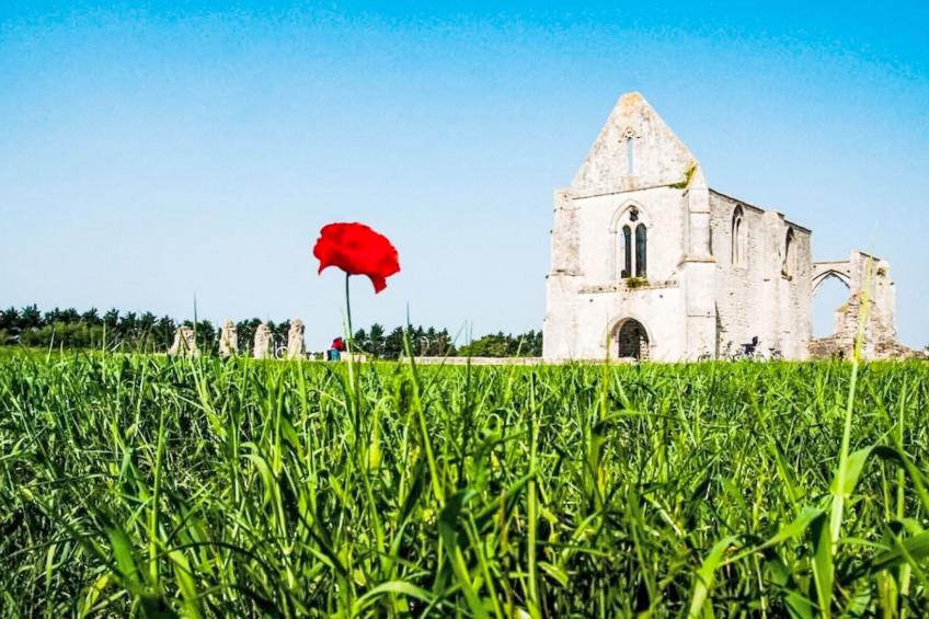 La Faisanderie - foto 22